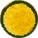 golden zucchini coin