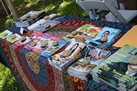 vegan literature with rock paperweights on a colorful table at VegFest Oahu 2016