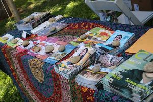 vegan literature with rock paperweights on a colorful table at VegFest Oahu 2016